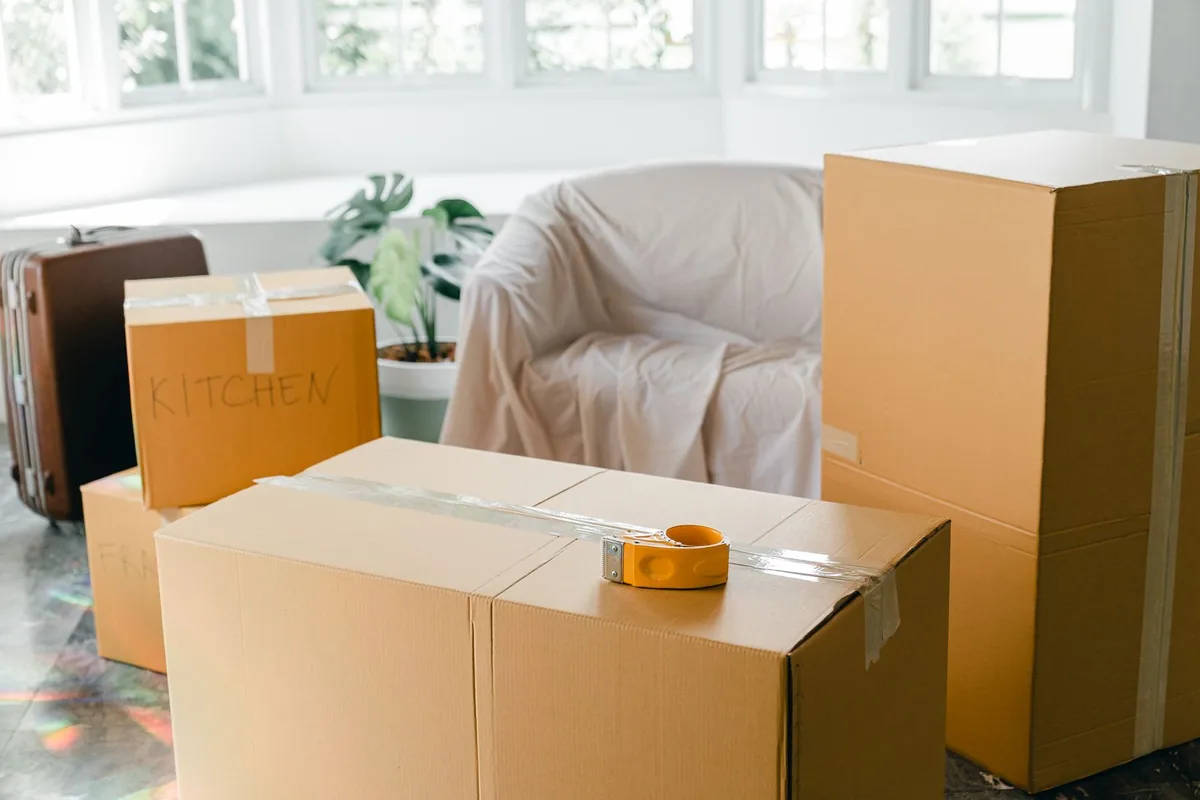 Hoarding Cleanup in Wacousta, MI